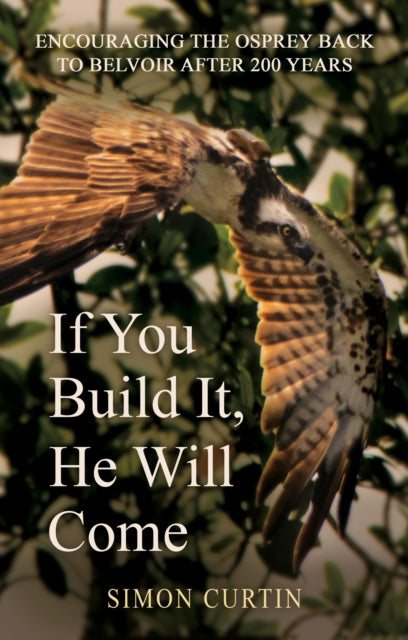 If You Build It He Will Come