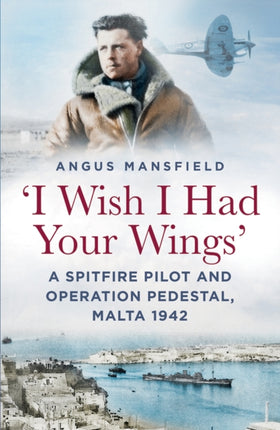 I Wish I Had Your Wings