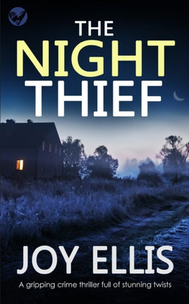 THE NIGHT THIEF a gripping crime thriller full of