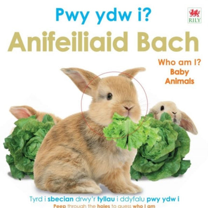 Pwy Ydw i Anifeiliaid Bach  Who Am I Baby Animals