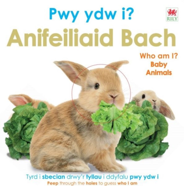 Pwy Ydw i Anifeiliaid Bach  Who Am I Baby Animals