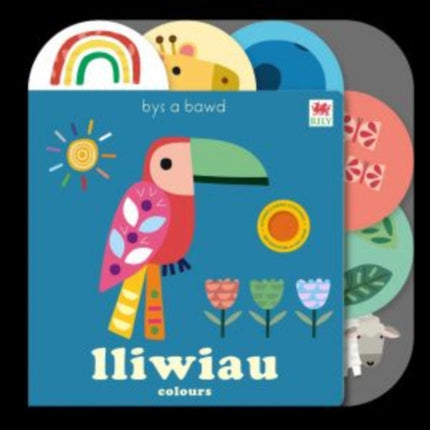 Lliwiau  Colours Touchy Feelies series