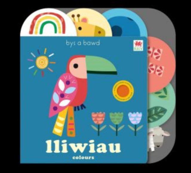 Lliwiau  Colours Touchy Feelies series