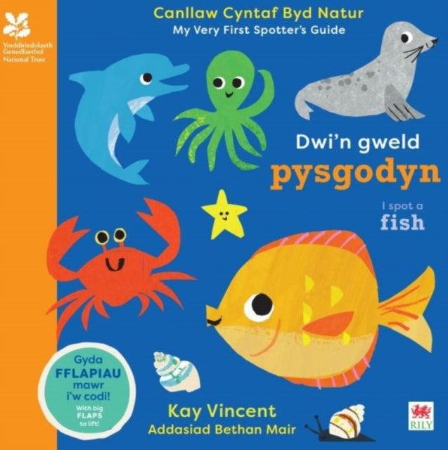 Dwin Gweld Pysgodyn  I Spot a Fish