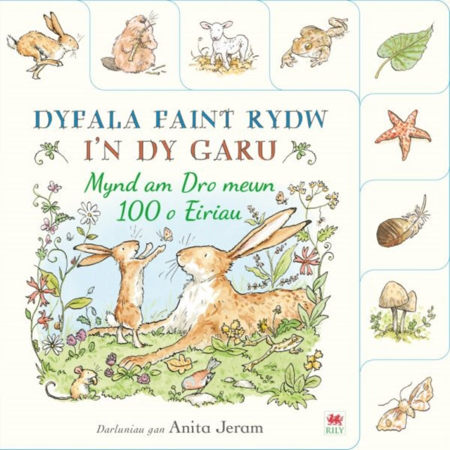 Dyfala Faint Rydw in dy Garu Mynd am Dro mewn 100 o Eiriau