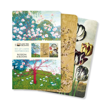 Blossoms & Blooms Set of 3 Mini Notebooks