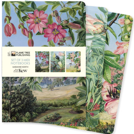 Kew Gardens: Marianne North Set of 3 Midi Notebooks