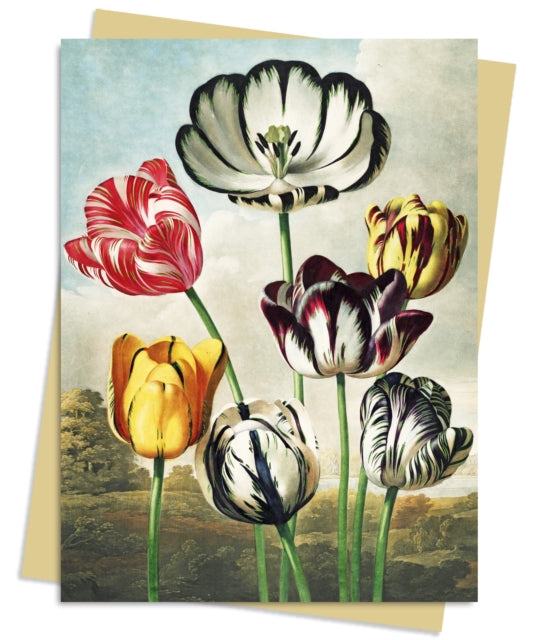 Temple of Flora: Tulips Greeting Card Pack: Pack of 6