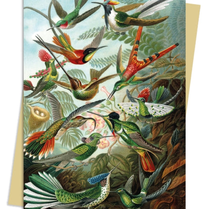 Ernst Haeckel: Hummingbirds Greeting Card Pack: Pack of 6