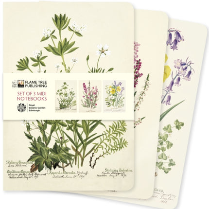 Royal Botanic Garden Edinburgh Set of 3 Midi Notebooks