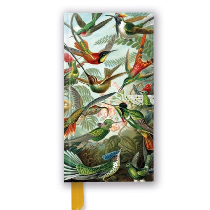 Ernst Haeckel Hummingbirds Foiled Slimline Journal