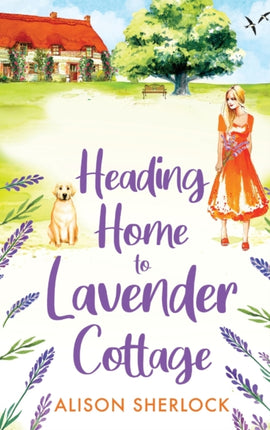 Heading Home to Lavender Cottage: The start of a
