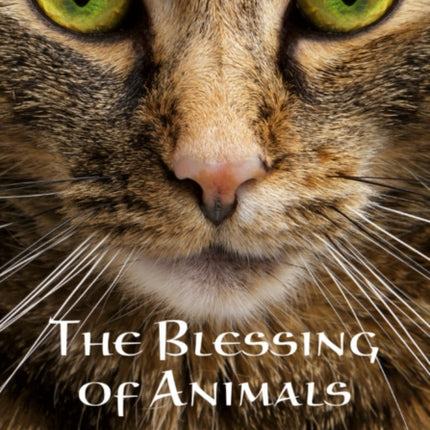 The The Blessing of Animals