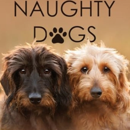 Two Naughty Dogs