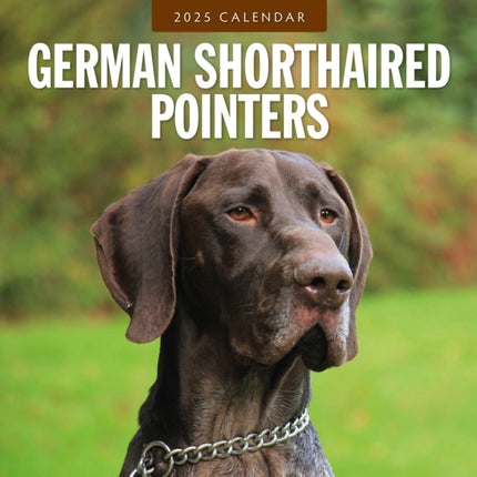 German Shorthaired Pointers 2025 Square Wall