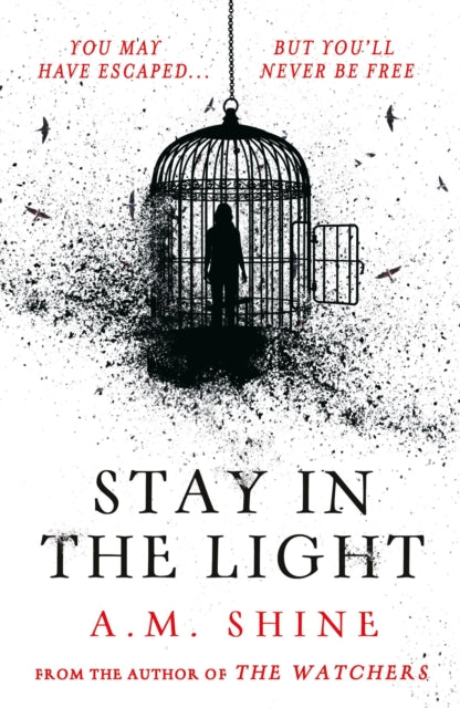 Stay in the Light
