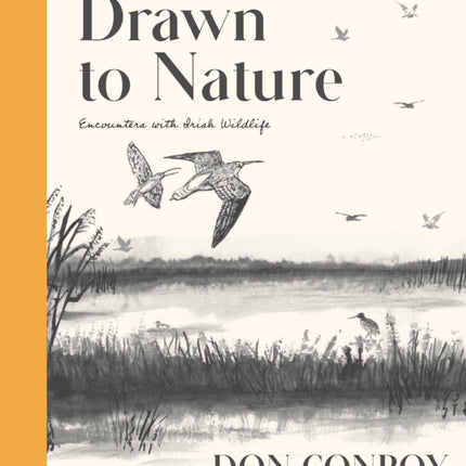 Drawn to Nature