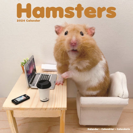 Hamsters Calendar 2024  Square Animal Wall Calendar - 16 Month