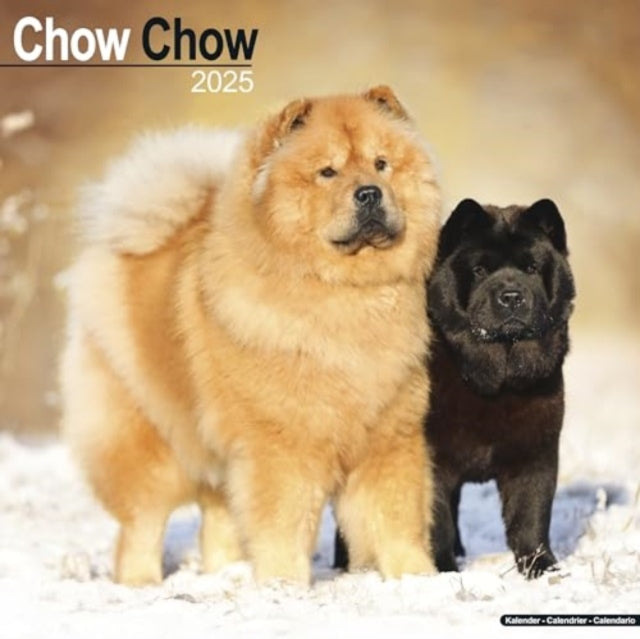 Chow Chow Calendar 2025  Square Dog Breed Wall