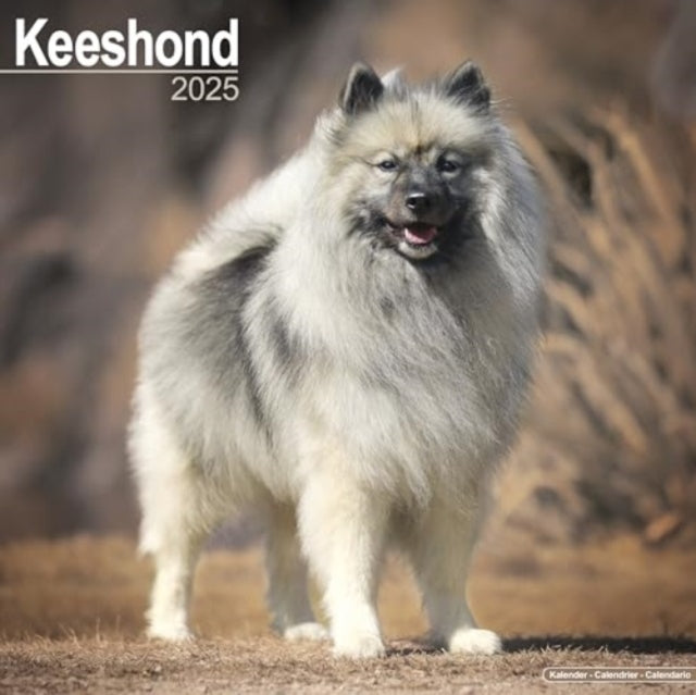 Keeshond Calendar 2025  Square Dog Breed Wall