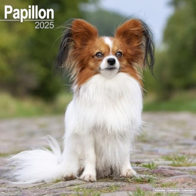 Papillon Calendar 2025  Square Dog Breed Wall