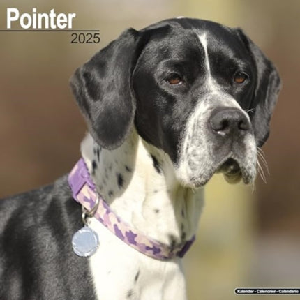 Pointer  Calendar 2025  Square Dog Breed Wall