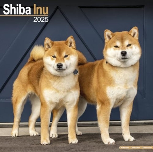 Shiba Inu Calendar 2025  Square Dog Breed Wall