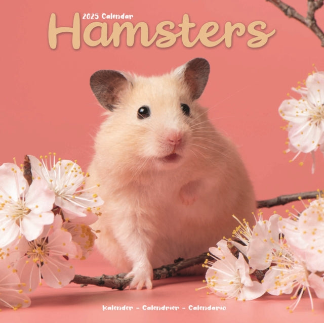 Hamsters Calendar 2025 Square Animal Wall Calendar  16 Month