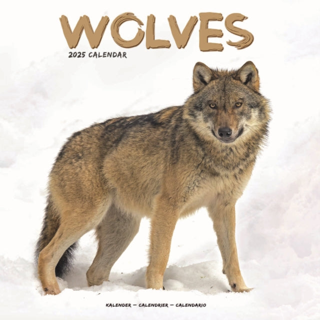 Wolves Calendar 2025 Square Animal Wall Calendar  16 Month