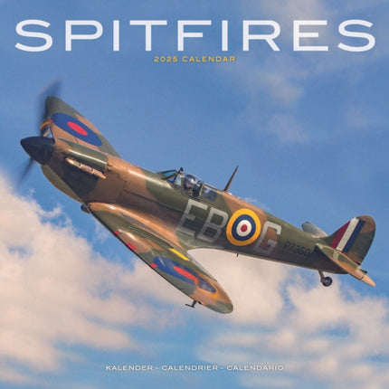 Spitfires Calendar 2025 Square Plane Wall Calendar  16 Month