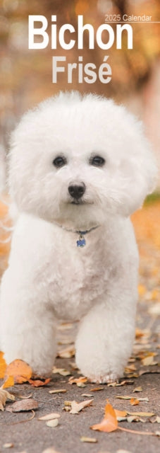 Bichon Frise Slim Calendar 2025 Dog Breed Slimline Calendar  12 Month