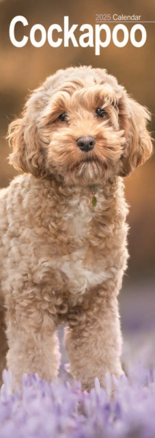 Cockapoo Slim Calendar 2025 Dog Breed Slimline Calendar  12 Month