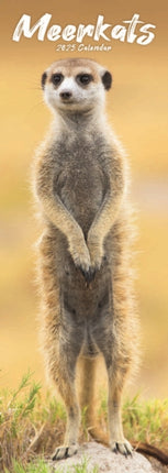 Meerkats Slim Calendar 2025
