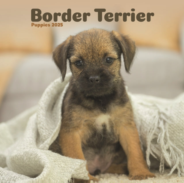 Border Terrier Puppies Square Mini Calendar 2025