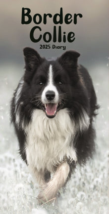 Border Collies Slim Diary 2025