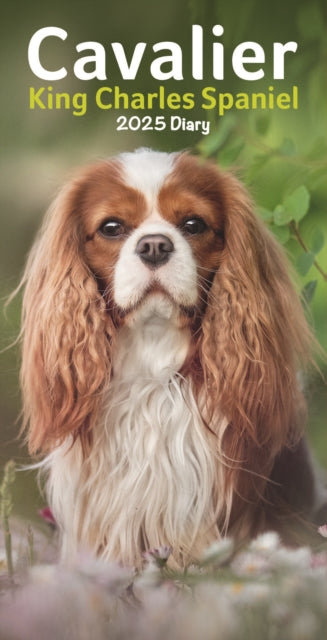 Cavalier King Charles Spaniels Slim Diary 2025