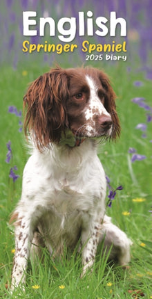 English Springer Spaniels Slim Diary 2025