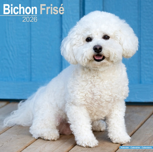 Bichon Frise Calendar 2026  Square Dog Breed Wall
