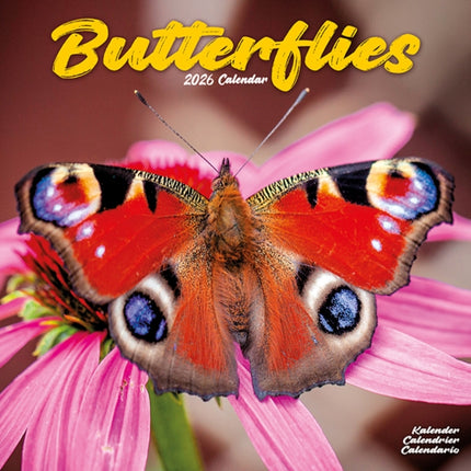 Butterflies Calendar 2026  Square Butterfly Wall