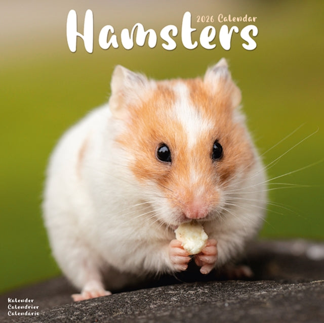 Hamsters Calendar 2026  Square Animal Wall