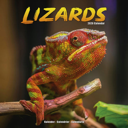 Lizards Calendar 2026  Square Animal Wall