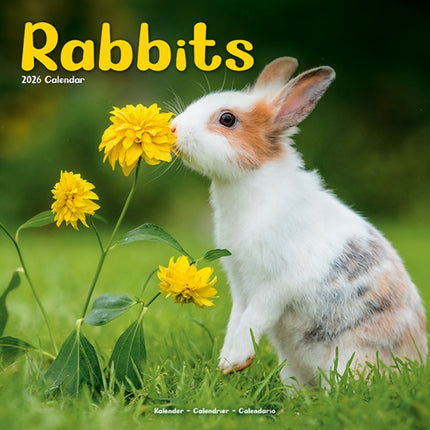Rabbits   Calendar 2026  Square Animal Wall