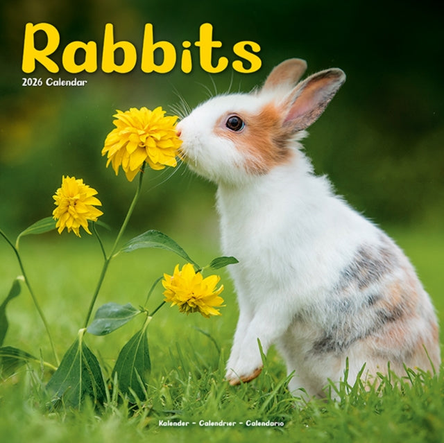 Rabbits   Calendar 2026  Square Animal Wall