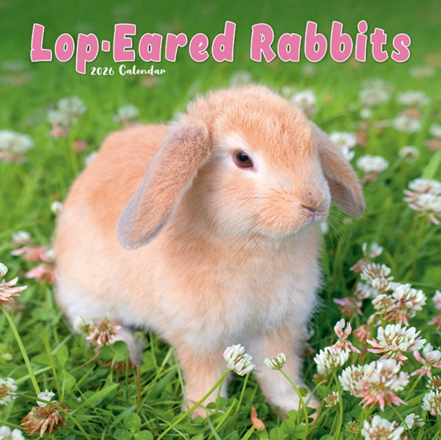 Rabbits  Lop Eared Calendar 2026  Square Animal