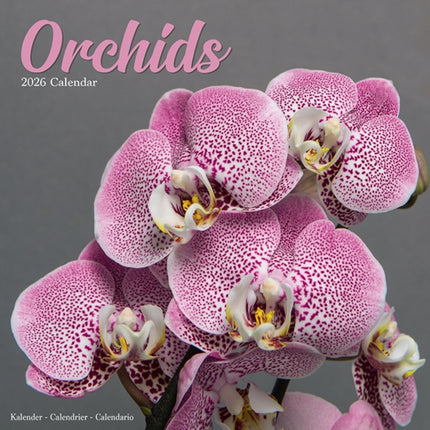 Orchids Calendar 2026  Square Flowers Wall