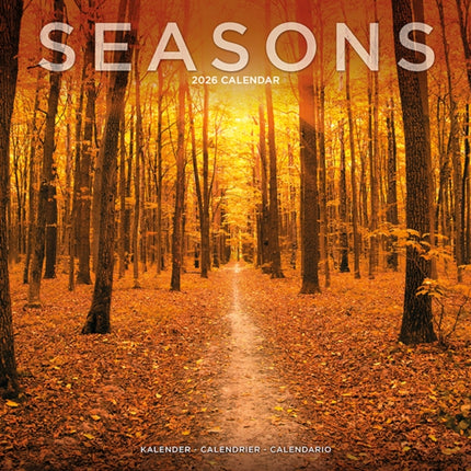 Seasons Calendar 2026  Square Scenic Wall