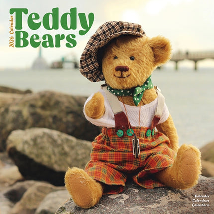 Teddy Bears Calendar 2026  Square Wall Calendar