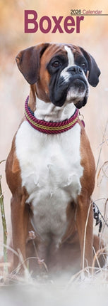 Boxer Slim Calendar 2026  Dog Breed Slimline