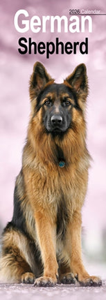 German Shepherd Slim Calendar 2026  Dog Breed