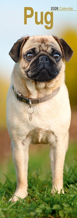 Pug Slim Calendar 2026  Dog Breed Slimline